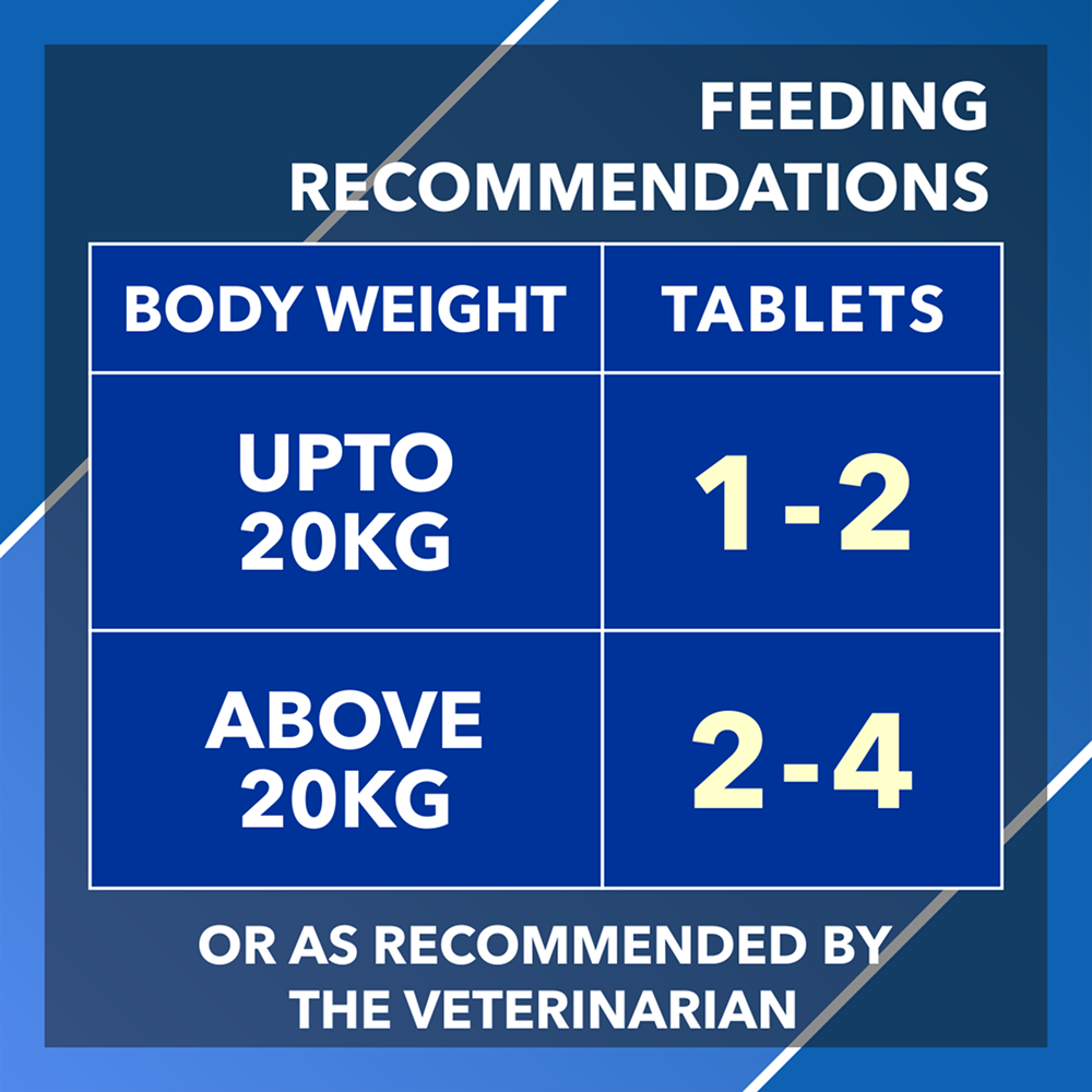 Drools Absolute Vitamin Supplement Tablets for Dogs Dogs-Health & Wellness Drools
