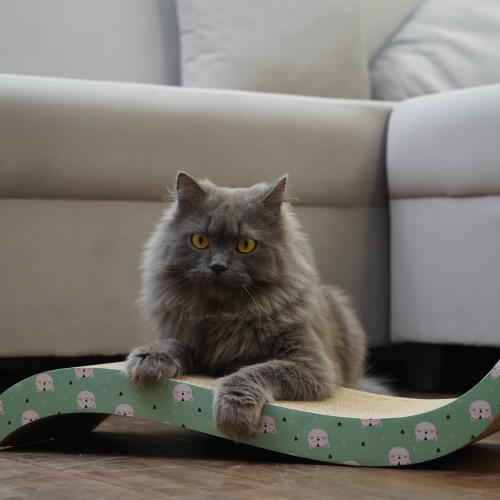 Skatrs Wave Cat Scratcher with Catnip & Yellow Rubber Ball Toy Cat Combo