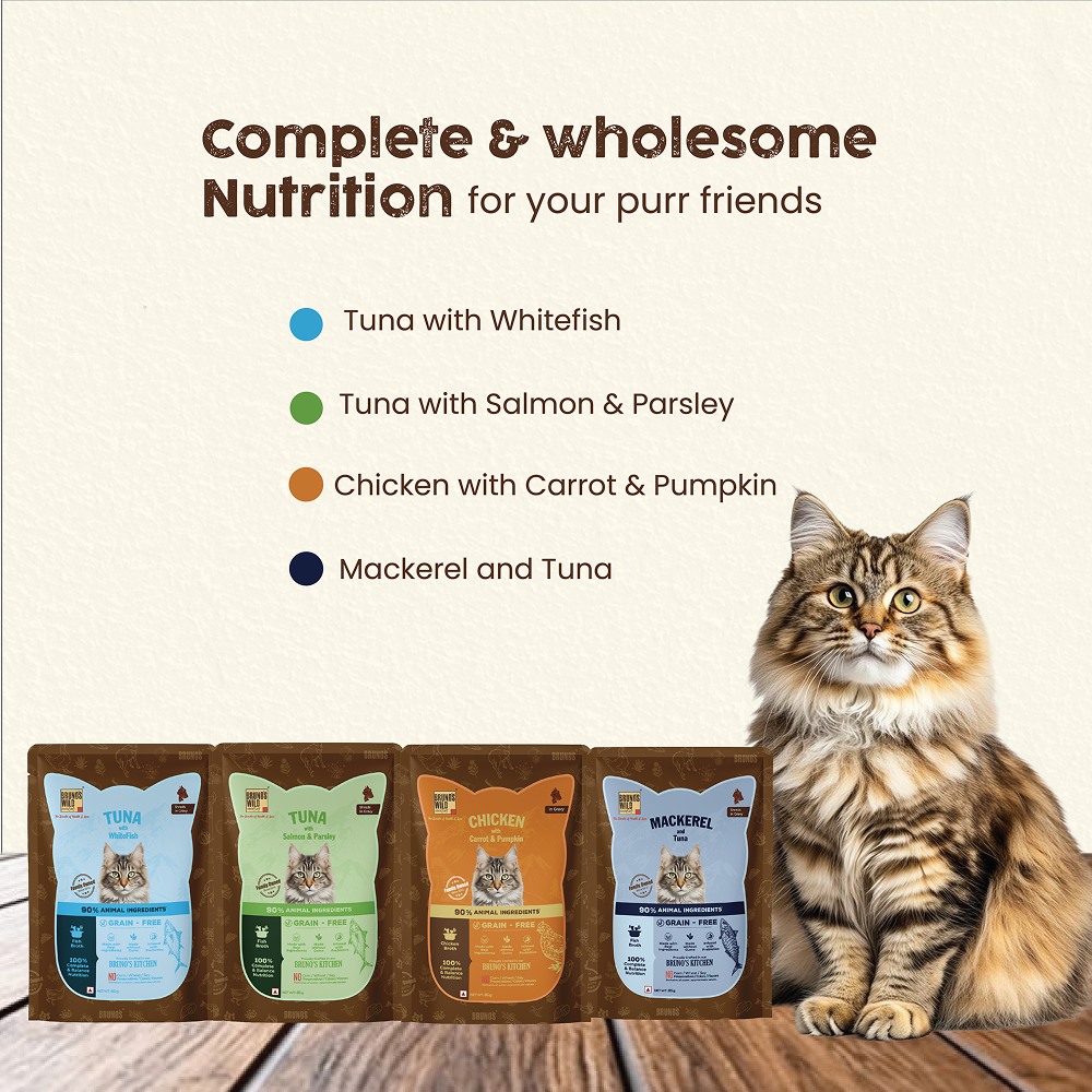 Bruno's Wild Essentials Chicken with Carrot & Pumpkin Cat Wet Food Cats-Wet Food Bruno's Wild Essentials