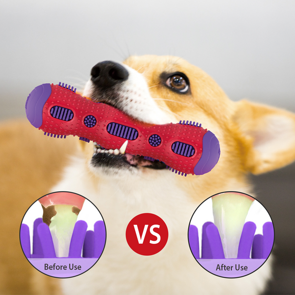 GiGwi Toothbrush Stick with Crackle Toy for Dogs(Red & Purple)