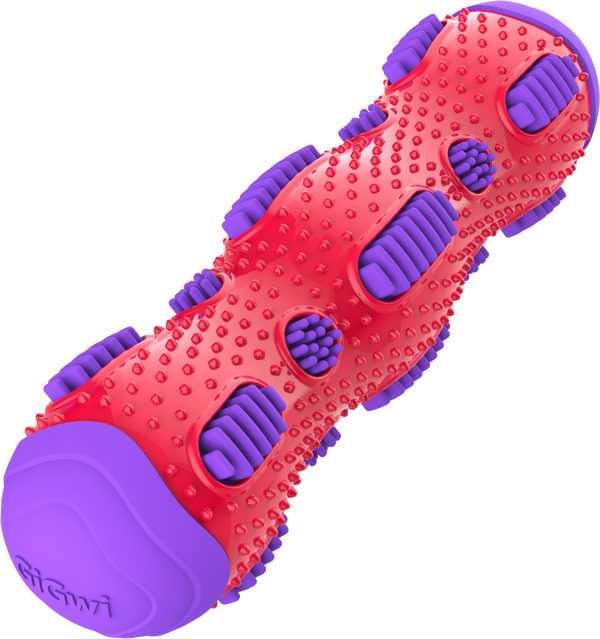 GiGwi Toothbrush Stick with Crackle Toy for Dogs(Red & Purple)