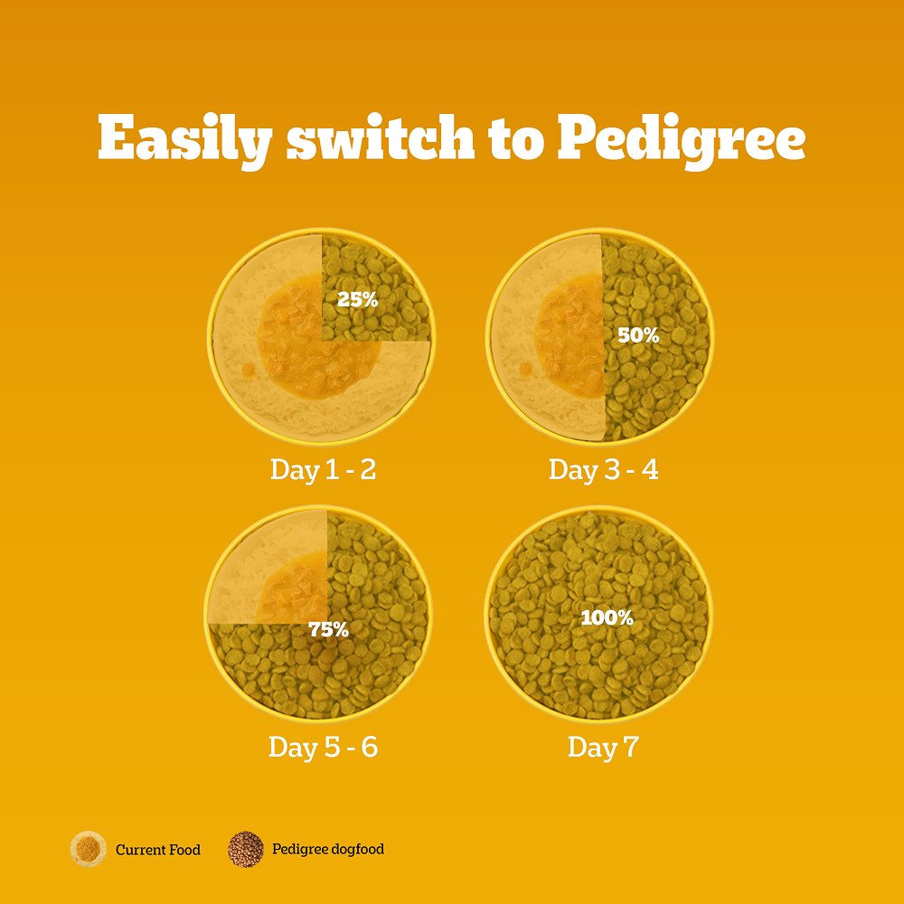 Pedigree 100% Vegetarian Puppy and Adult Veg Dog Dry Food