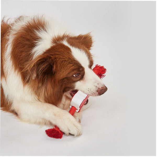 Fofos Steak Shaped Chew Rope Toy for Dogs