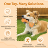 Talking Dog Club Rubber Bone Treat Dispenser Toy for Dogs (Yellow) Dogs-Bowls & Feeders Talking Dog Club Dropship