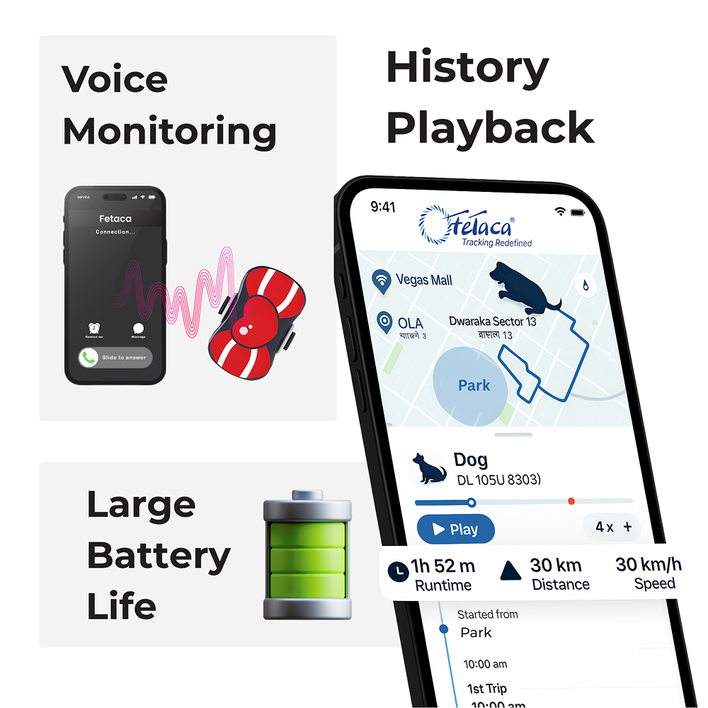 FeTaca PB1 Smart 4G GPS Waterproof Collar with Bow Tracker with 12months Free Tracking & App Subscription for Dogs and Cats (Red) Both-Collar, Leashes, harnesses FeTaca Dropship