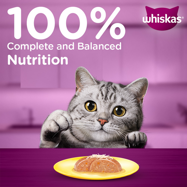 Whiskas Chicken with Salmon in Jelly Adult Cat Wet Food