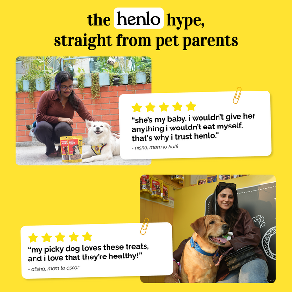 Henlo Chicken Jerky Dog Treats I Guilt Free I High Protein