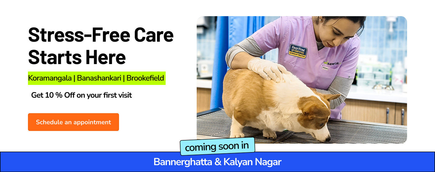 86d0hbybe_clinic_main_banner_clinics_coming_soon.webp__PID:5095a82b-416e-4f31-b4c9-23d52d7b5060
