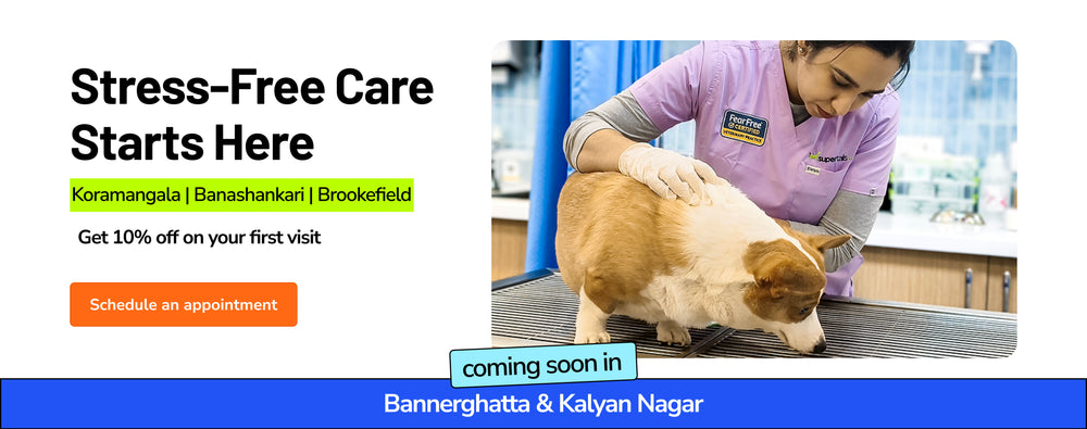 86d0hbybe_clinic_main_banner_clinics_coming_soon.webp__PID:3d0742ed-a15a-4a02-887f-9dd1feafeeda