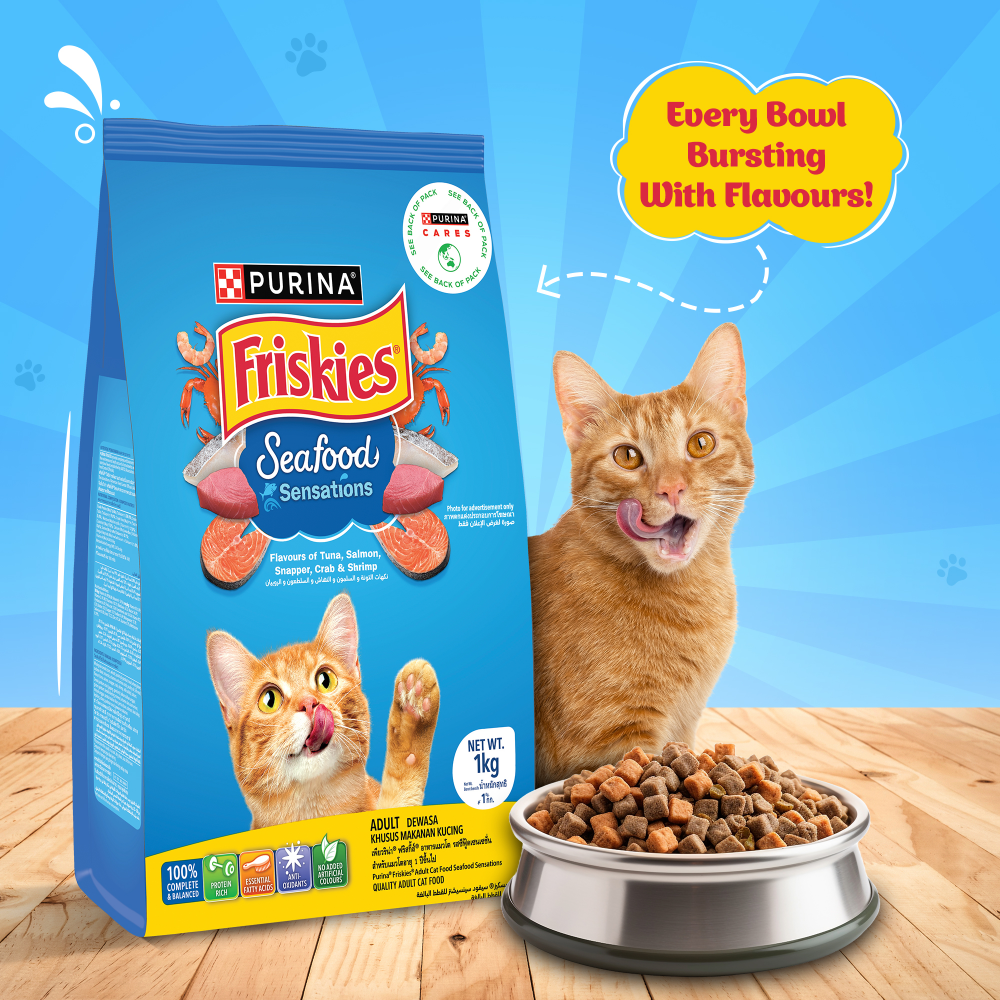 Friskies Seafood Cat Dry Food and Purina Felix Tuna with Jelly Adult Cat Wet Food Combo