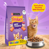 Friskies Surfin Cat Dry Food and Purina Felix Chicken with Jelly Adult Cat Wet Food Combo Exclusive Combo Exclusive Combo