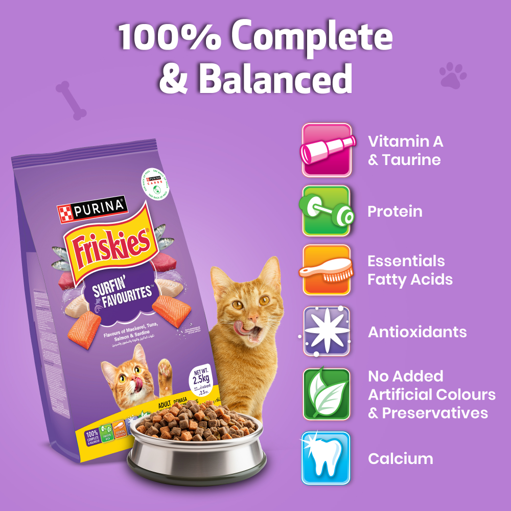 Friskies Surfin Cat Dry Food