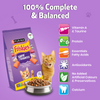 Friskies Surfin Cat Dry Food and Purina Felix Chicken with Jelly Adult Cat Wet Food Combo Exclusive Combo Exclusive Combo