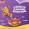 Friskies Surfin Adult Cat Dry Food Cats- Dry food Friskies