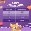 Friskies Surfin Adult Cat Dry Food Cats- Dry food Friskies