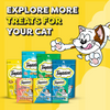 Temptations Creamy Purrrr ee Chicken & Tuna Cat Treats Cats-Treats & Others Temptations