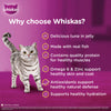 Whiskas Ocean Fish and Tuna in Jelly Meal Adult Cat Wet and Dry Food Combo
