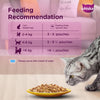 Whiskas Tuna in Jelly Meal Adult Cat Wet Food and Sheba Tuna Pumpkin & Carrot In Gravy Rich Premium Adult Fine Cat Wet Food Combo Cats-Wet Food Exclusive Combo