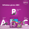 Whiskas Ocean Fish and Tuna in Jelly Meal Adult Cat Wet and Dry Food Combo Cats- Dry food Whiskas