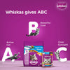 Whiskas Tuna in Jelly Meal Adult Cat Wet Food and Sheba Tuna Pumpkin & Carrot In Gravy Rich Premium Adult Fine Cat Wet Food Combo Cats-Wet Food Exclusive Combo