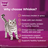 Whiskas Salmon in Gravy Meal and Chicken With Salmon Wakame Seaweed in Gravy Tasty Mix Adult Cat Wet Food Combo Cats-Wet Food Whiskas
