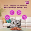 Whiskas Tuna in Jelly Kitten and Chicken Gravy Adult Cat Wet Food Combo