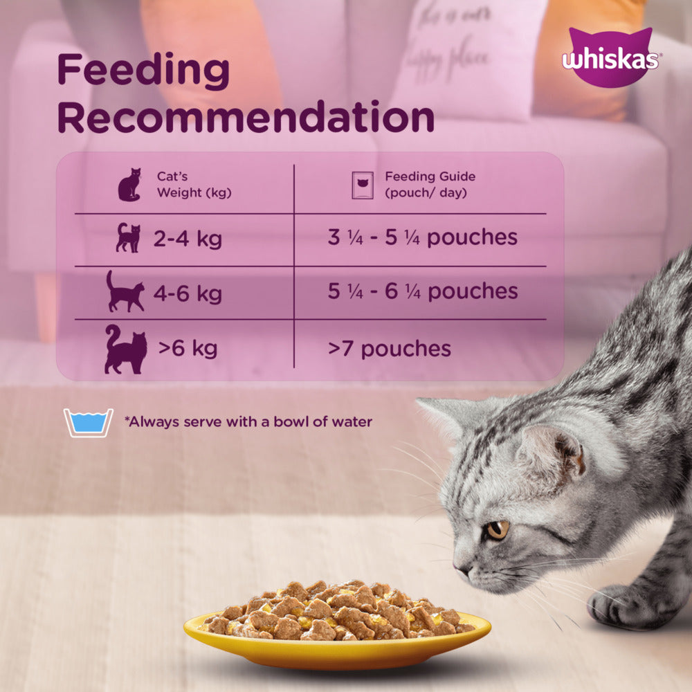 Whiskas Salmon in Gravy Meal and Chicken Gravy Adult Cat Wet Food Combo Cats-Wet Food Whiskas