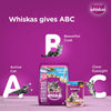 Whiskas Tuna in Jelly Kitten (2-12 Months) Cat Wet Food Cats-Wet Food Whiskas