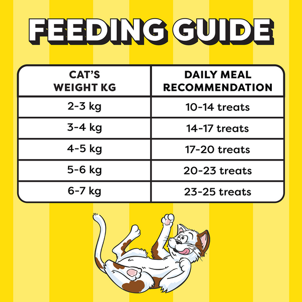 Temptations MixUps Chicken & Salmon Flavour Cat Treats