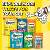 Temptations MixUps Chicken & Salmon Flavour Cat Treats Cats-Treats & Others Temptations