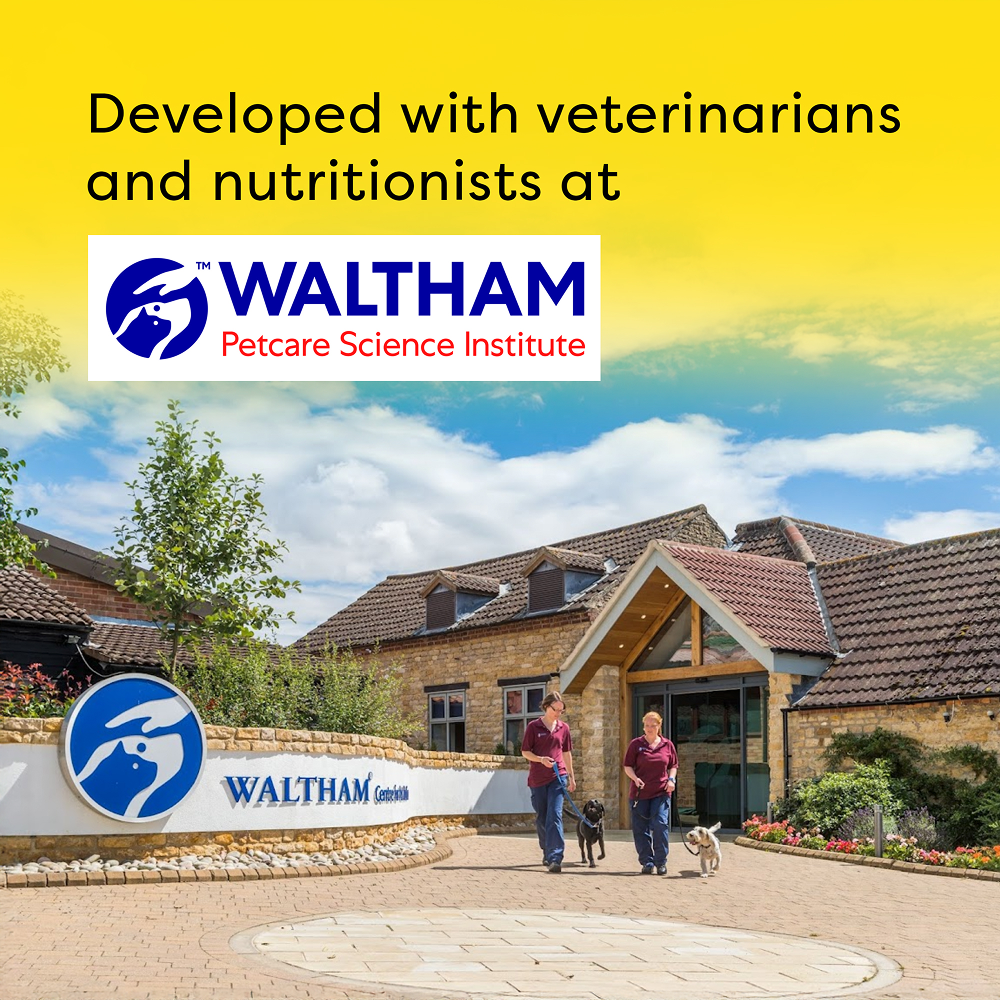 Temptations MixUps Tuna & Chicken Flavour Cat Treats Cats-Treats & Others Temptations