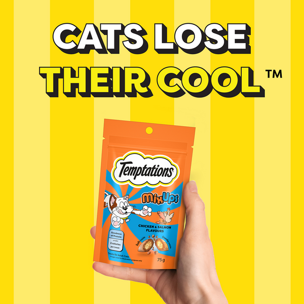 Temptations MixUps Chicken & Salmon Flavour Cat Treats