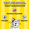 Temptations MixUps Chicken & Salmon Flavour Cat Treats Cats-Treats & Others Temptations
