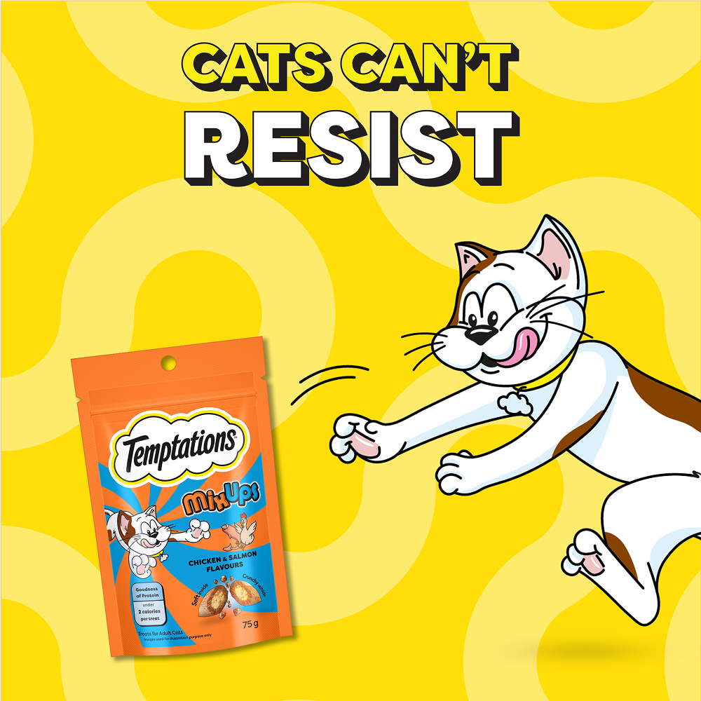 Temptations MixUps Chicken & Salmon Flavour Cat Treats Cats-Treats & Others Temptations