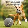 Talking Dog Club Tennis Ball Toy for Dogs (Grey) Dogs-Toys Talking Dog Club Dropship