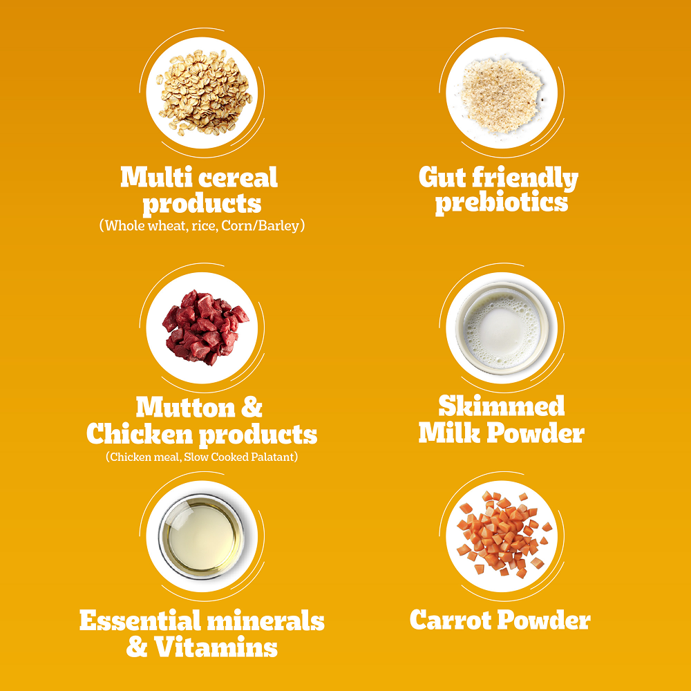 Pedigree Meat & Milk Puppy Dog Dry Food Dogs- Dry Food Pedigree