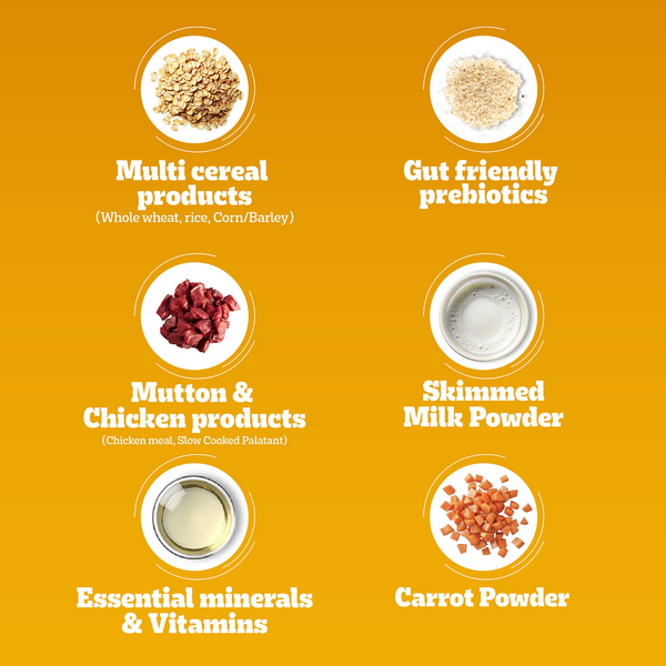 Pedigree Meat & Milk Puppy Dog Dry Food