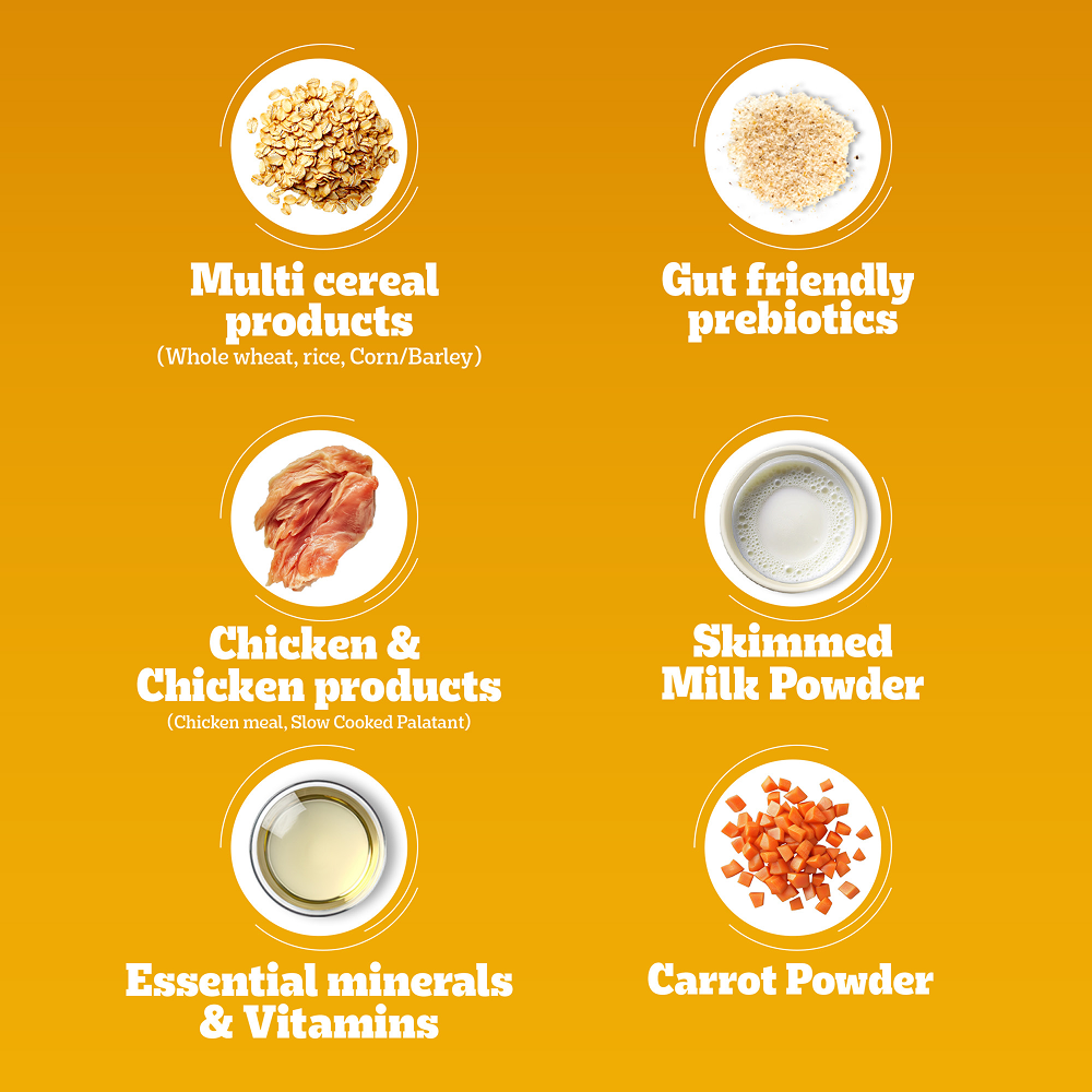 Pedigree Chicken and Milk Puppy Dog Dry Food Dogs- Dry Food Pedigree