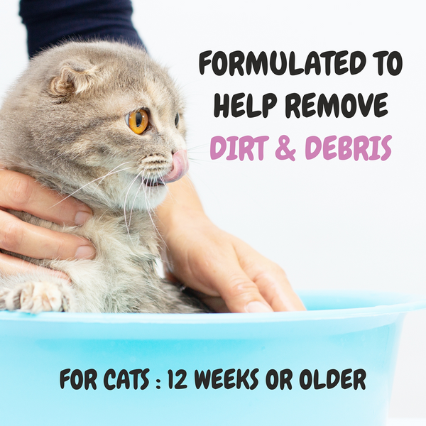 Bscly Strawberry Meow Care Shampoo for Cats
