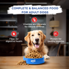 Chappi Chicken & Rice Adult Dry Dog Food Dogs- Dry Food Chappi