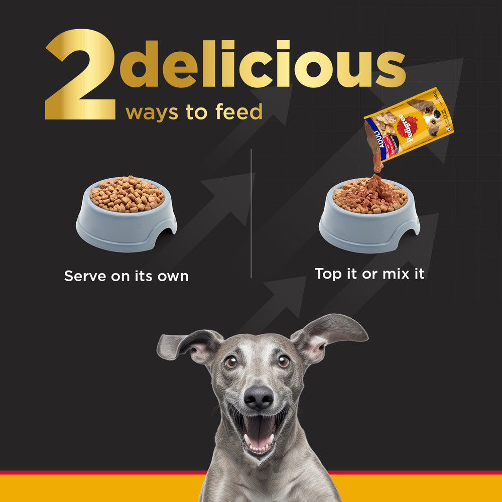 Pedigree PRO Expert Nutrition Senior(7+ Years) Adult Dog Dry Food