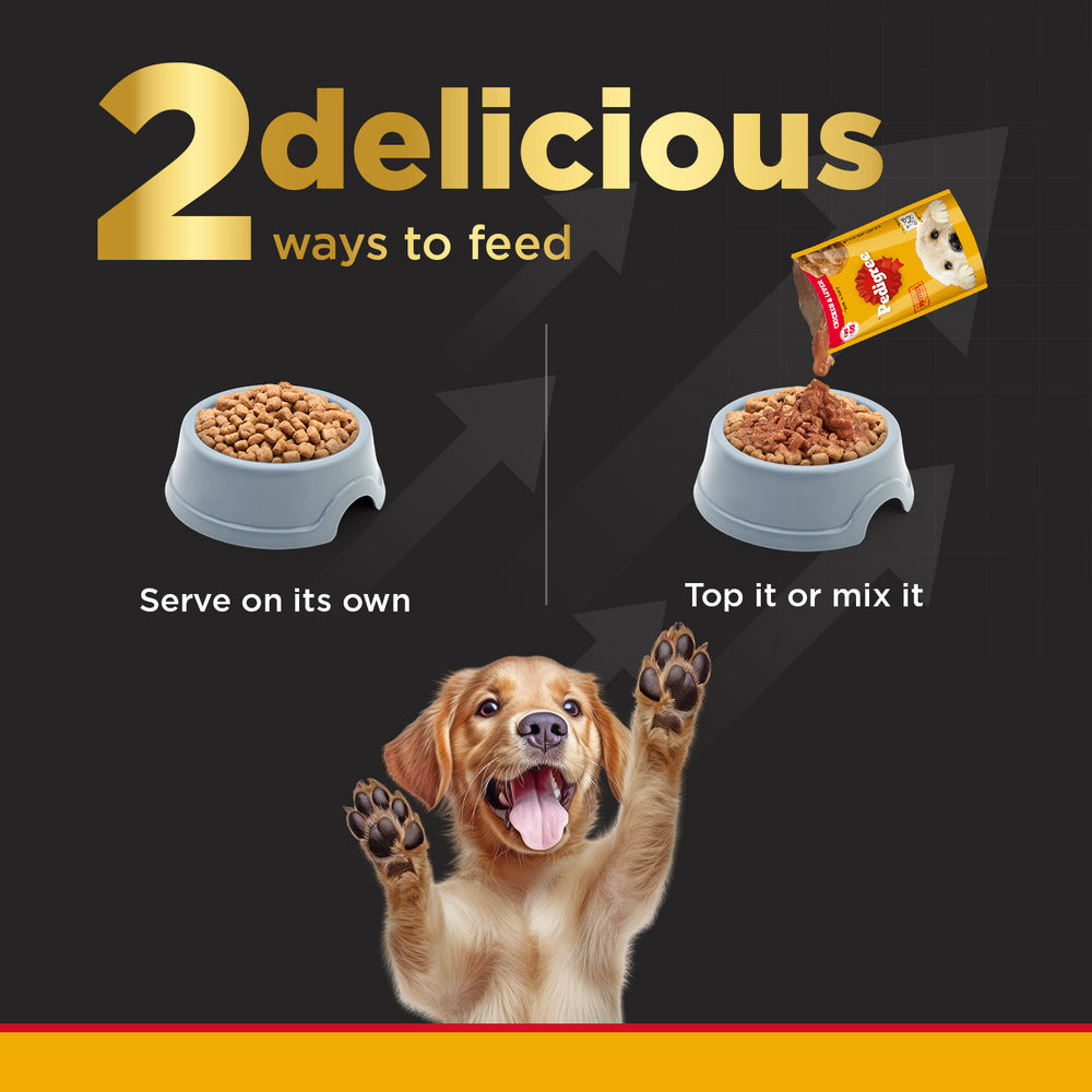 Canine Creek Real Chicken Gravy Puppy Wet, Pedigree PRO Expert Nutrition for Large Breed Puppy Dry Food and Mankind Multistar Pet Syrup Multivitamin Dog Supplements Combo