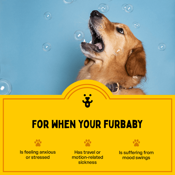 Furlicks Skin Coat & Calming Aid Health Supplement Combo for Dogs & Cats