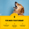 Furlicks Skin Coat & Calming Aid Health Supplement Combo for Dogs & Cats Both-Health & Wellness Furlicks