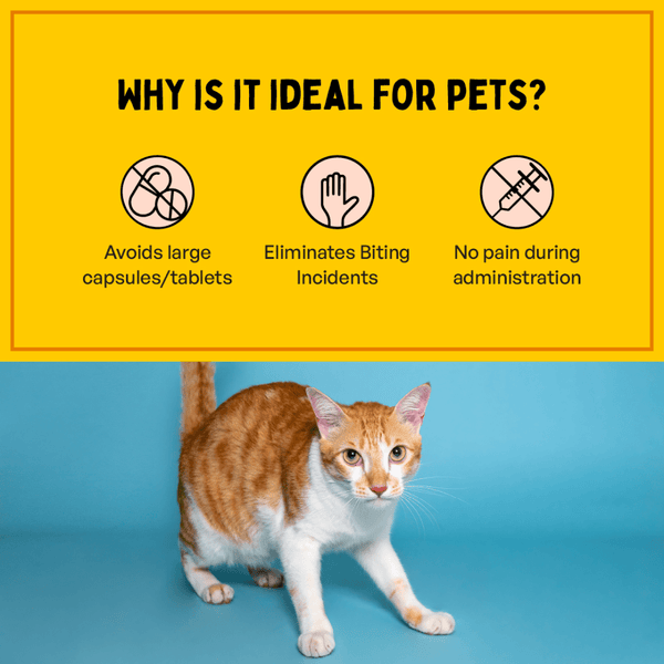 Furlicks Skin & Coat & Gut Health Supplement Combo for Dogs & Cats