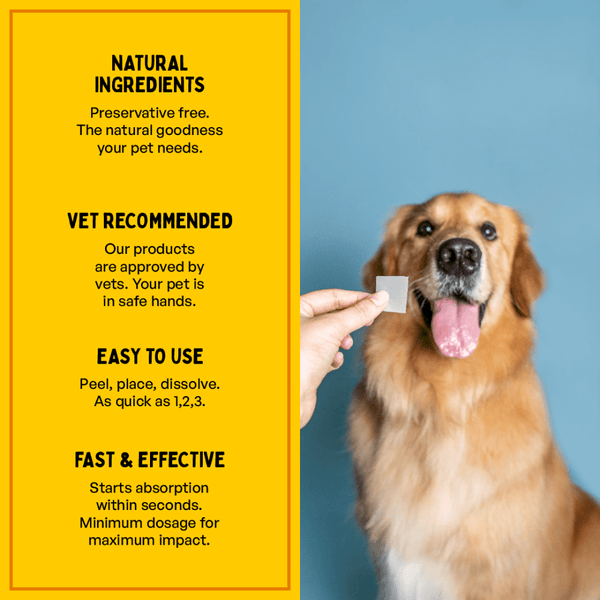 Furlicks Skin Coat & Calming Aid Health Supplement Combo for Dogs & Cats