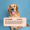 Furlicks Calming Aid for Cats and Dogs Both-Health & Wellness Furlicks
