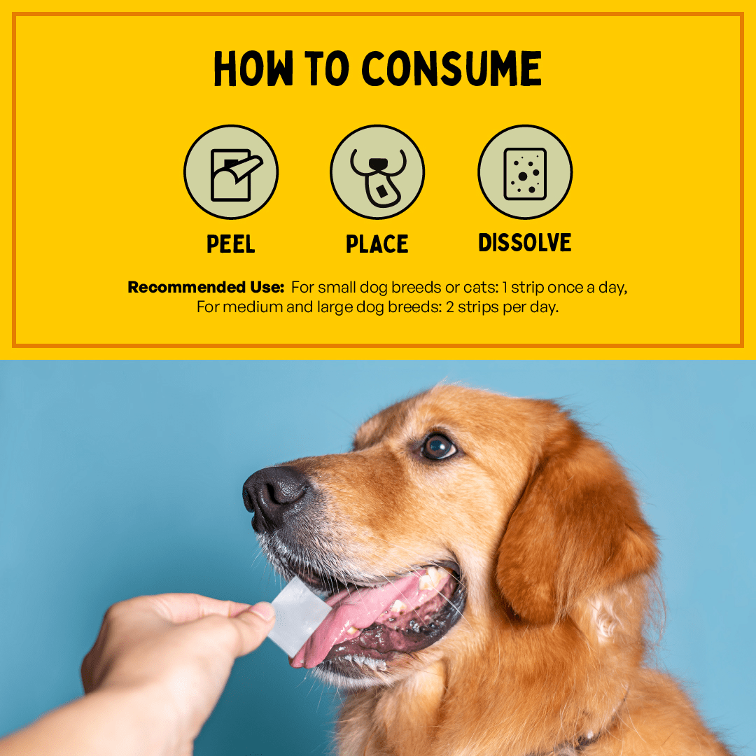 Himalaya Fresh Coat No Rinse Spray & Furlicks Gut Health Supplement Dog & Cat Combo Exclusive Combo Exclusive Combo