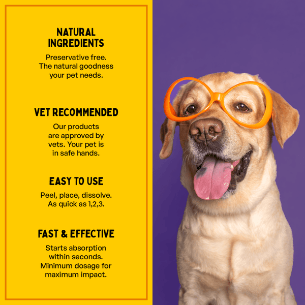 Furlicks Skin Coat & Hip & Joint Supplement Combo for Dogs & Cats