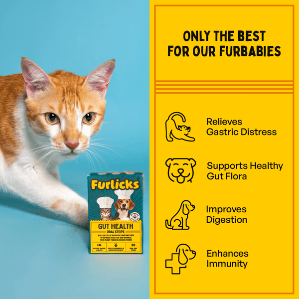 Furlicks Skin & Coat & Gut Health Supplement Combo for Dogs & Cats